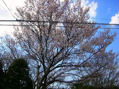 c0078480_23184044.jpg
