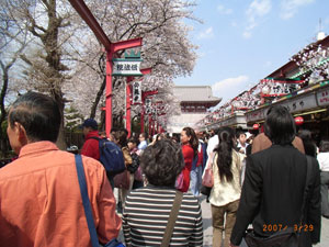 東京の桜は早かった_f0067385_21521745.jpg