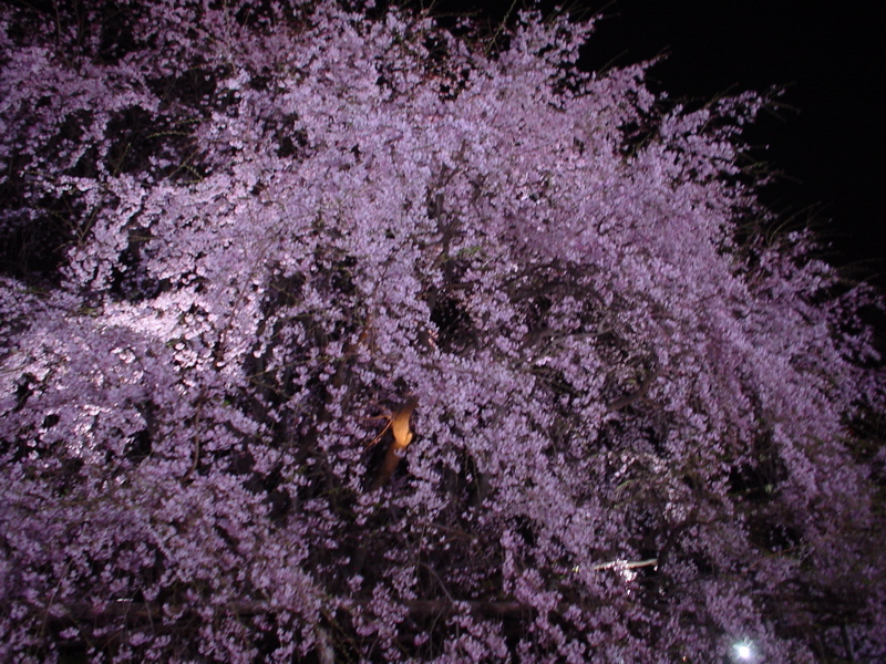 c0061896_10123374.jpg