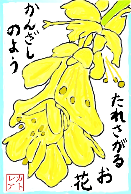 絵手紙・・・春・・・トサミズキ・・・土佐水木・・・マンサク科・・・とさみずき属_f0124098_1295014.jpg