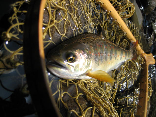 f0137499_14474253.jpg