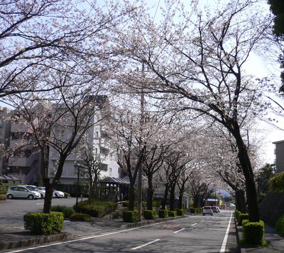 c0007501_17235372.jpg