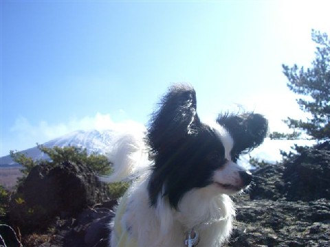 e0046305_18341320.jpg