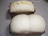 f0079111_20354028.jpg