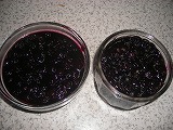 f0079111_20361498.jpg