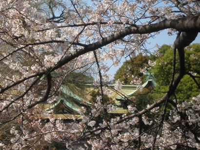 e0083212_162538.jpg