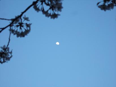 f0085219_11103622.jpg