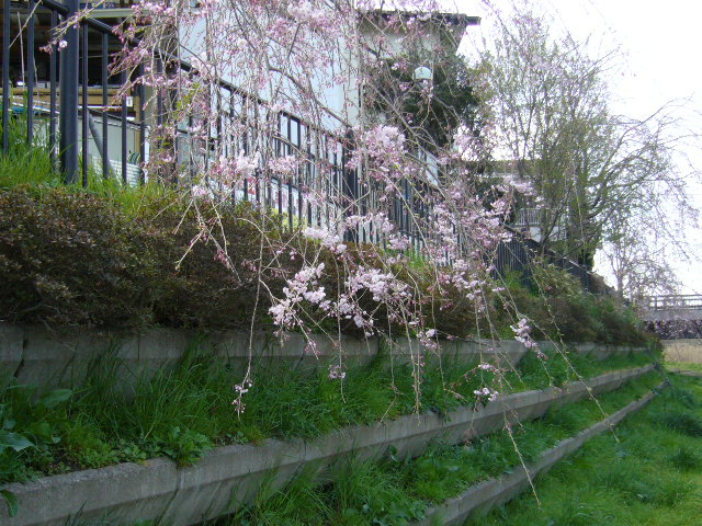 d0000324_14435030.jpg