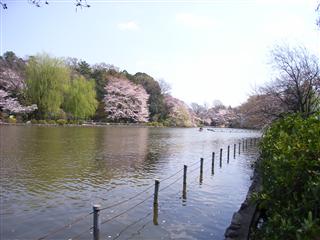 c0039428_1005577.jpg