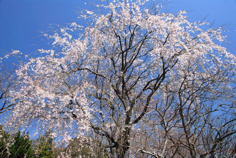 f0032335_21215563.jpg
