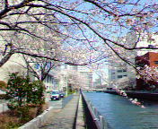 c0090236_8155890.jpg
