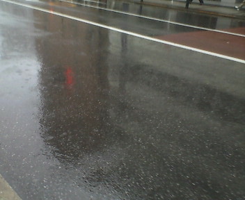 雨。_a0022038_8464065.jpg