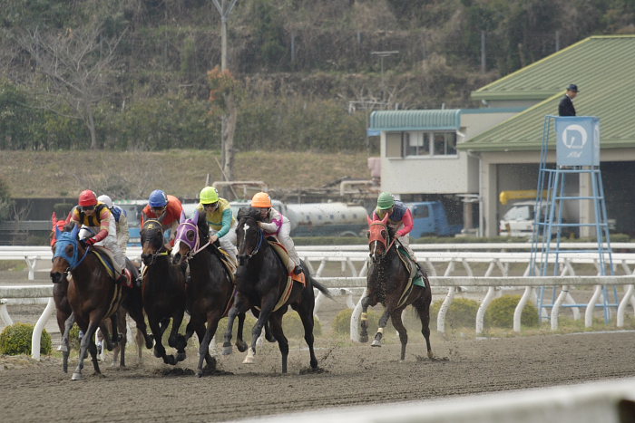 2007年3月25日（日） 高知競馬 2R_a0077663_18252537.jpg