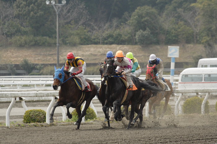 2007年3月25日（日） 高知競馬 2R_a0077663_18253489.jpg