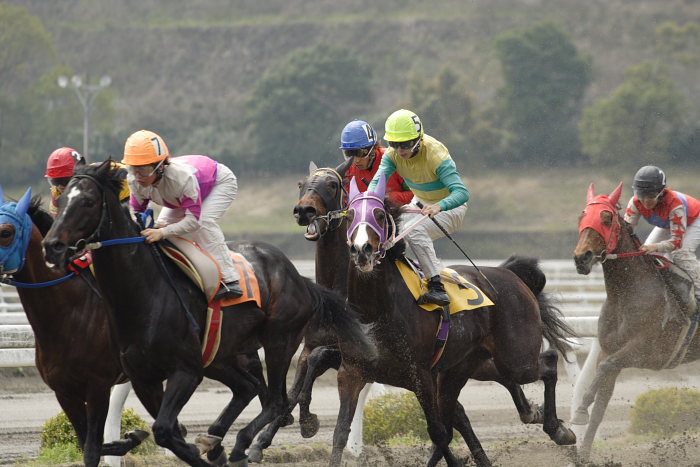 2007年3月25日（日） 高知競馬 2R_a0077663_18255328.jpg