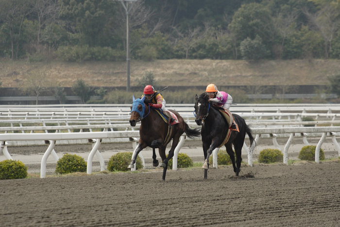 2007年3月25日（日） 高知競馬 2R_a0077663_18261717.jpg