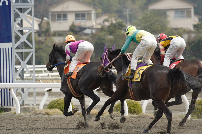 2007年3月25日（日） 高知競馬 2R_a0077663_1826261.jpg