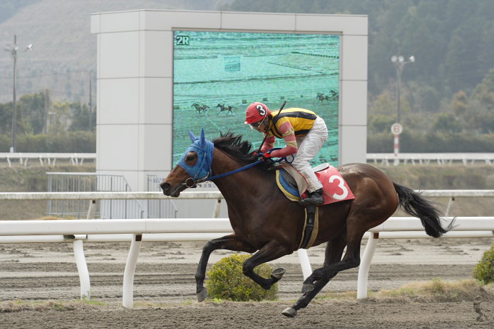 2007年3月25日（日） 高知競馬 2R_a0077663_18263647.jpg