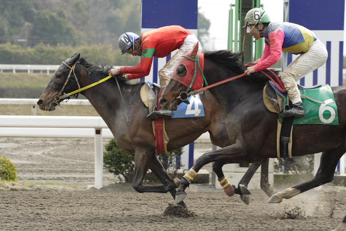 2007年3月25日（日） 高知競馬 2R_a0077663_18264983.jpg