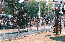 d0083265_1722823.jpg