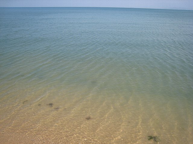 f0127675_4224972.jpg