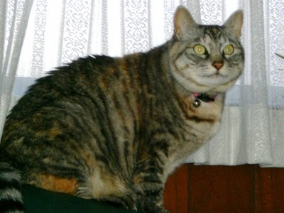 c0078480_01538.jpg