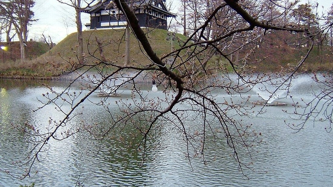 高田公園の桜！_e0065084_2015589.jpg
