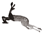 f0059987_20135279.gif