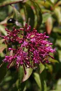 a0062203_8255652.jpg