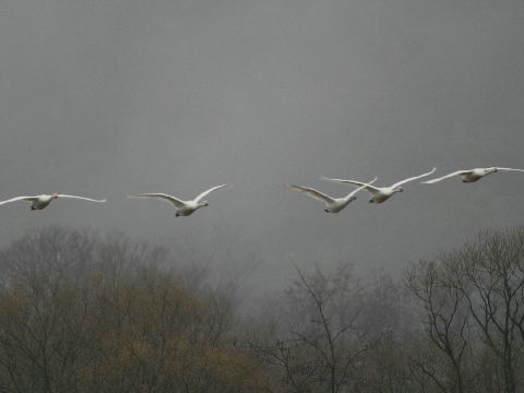 e0103903_17223850.jpg