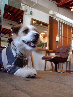 f0080105_0451346.jpg