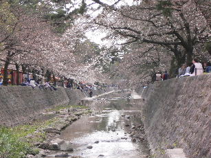 桜咲く季節になんとなく。_f0132307_22285339.jpg