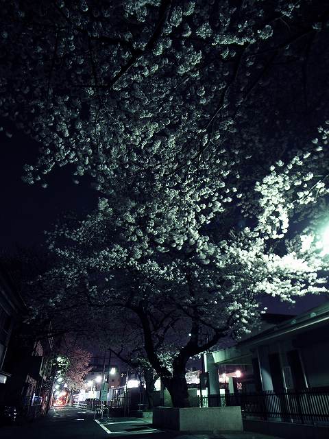 c0071611_8453643.jpg