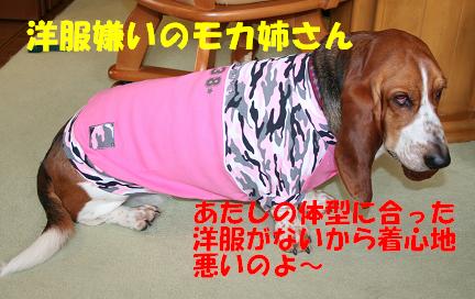 f0121712_1402722.jpg