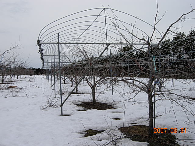 a0089814_20112937.jpg