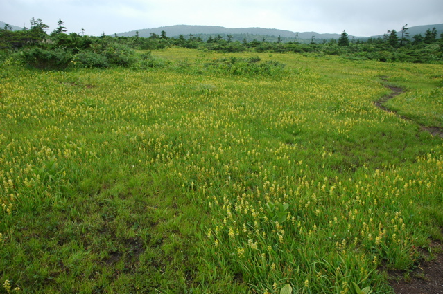 f0115214_1543233.jpg
