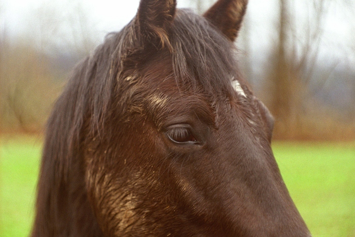 e0038420_0403670.jpg