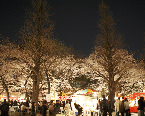 a0019224_835189.jpg