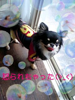 e0079125_1722687.jpg