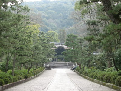 今年も桜開花偵察へ♪_f0054428_04554.jpg