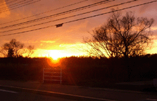 e0096331_11492014.gif