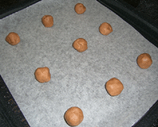 e0096331_12201168.gif