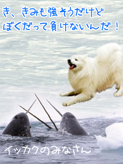 こわーいお話_c0062832_19334760.jpg