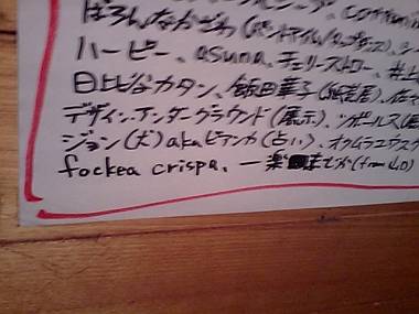 3/31 fockea crispa円盤ライブ終了、そして！_d0007234_5303118.jpg