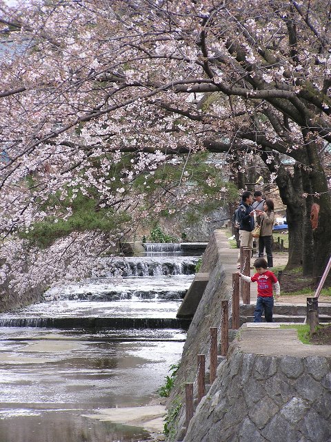 毎年のことながら..._b0016836_2211430.jpg