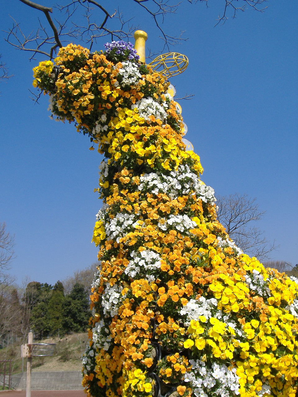 テルの動物園_f0082141_046576.jpg