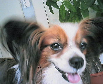 e0100046_2104195.jpg