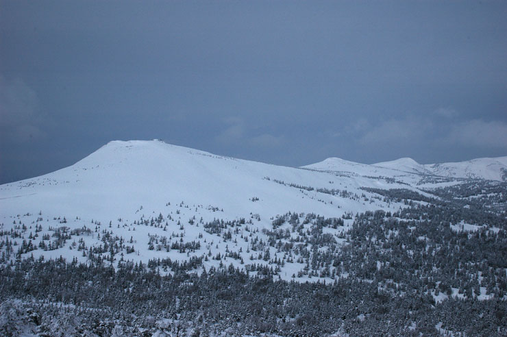 c0077847_19271232.jpg