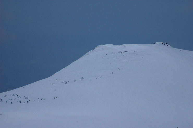 c0077847_1927337.jpg