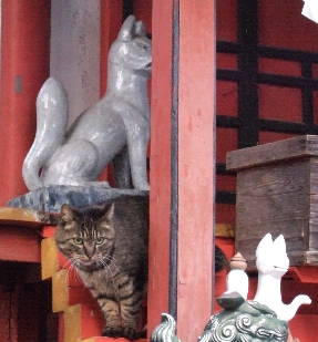 ３月３１日　ご眷属様のふりをするネコ_b0084962_14122345.jpg